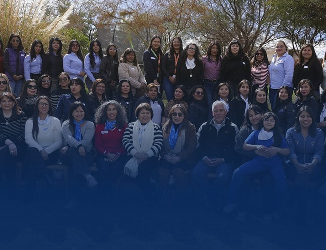 Comunidad de socias Women in Mining Chile